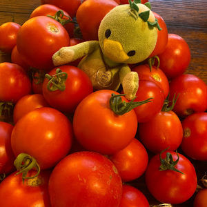 Meet your Posher, Megumi